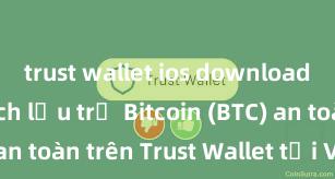 trust wallet ios download nhanh Cách lưu trữ Bitcoin (BTC) an toàn trên Trust Wallet tại Việt Nam