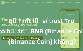 gửi nft từ ví trust Trust Wallet có hỗ trợ BNB (Binance Coin) không?